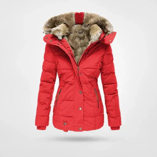 Dames Gewatteerde Winterjas met Afneembare Capuchon